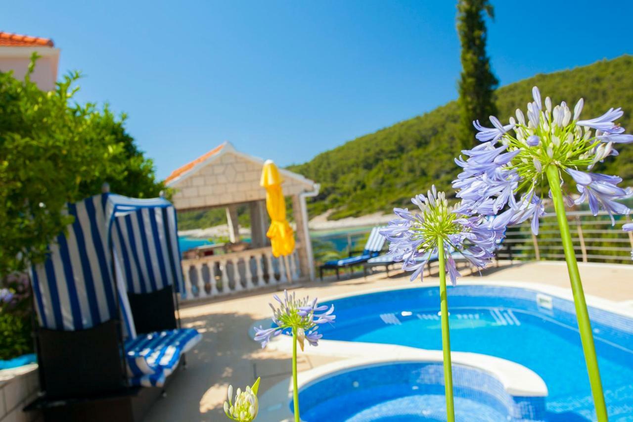 Waterfront Villa With Pool Vela Luka Εξωτερικό φωτογραφία
