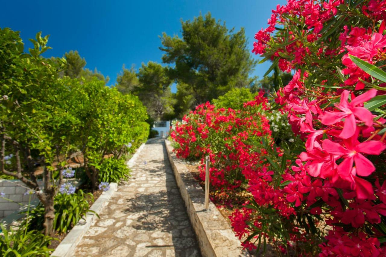 Waterfront Villa With Pool Vela Luka Εξωτερικό φωτογραφία
