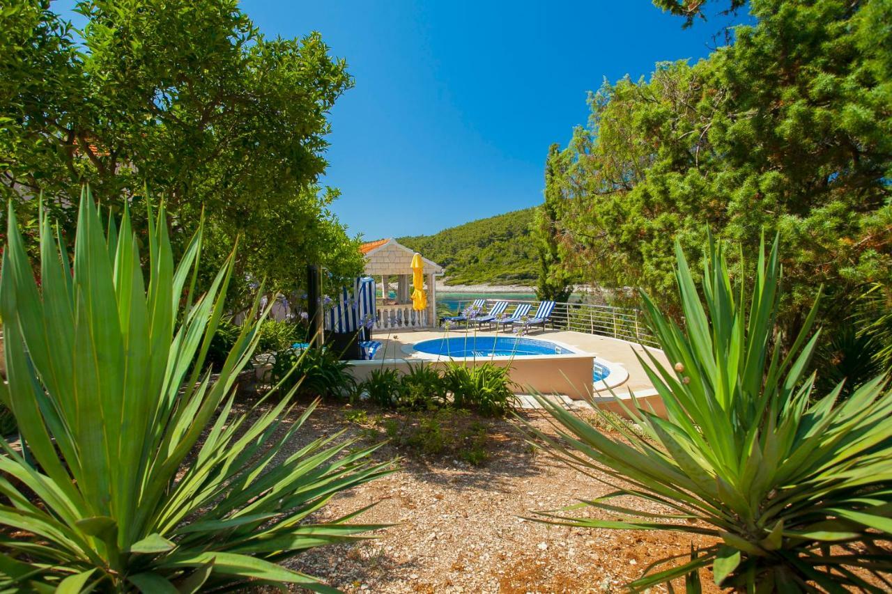 Waterfront Villa With Pool Vela Luka Εξωτερικό φωτογραφία